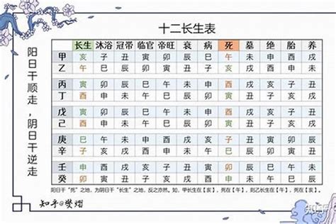 寄生十二宫|八字命理（5）